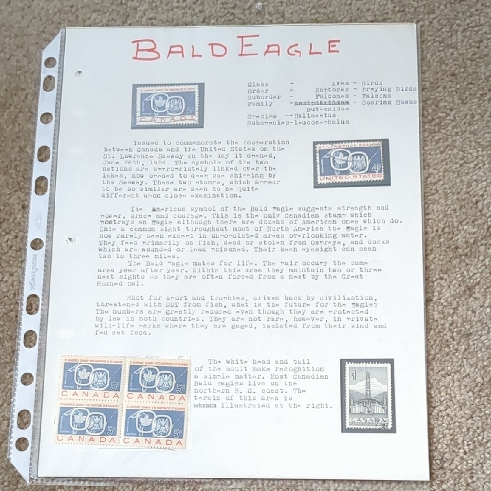 Bald Eagle Home Design Stamp Set